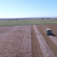 Precision farming: agricultuur met gebruik van de moderne mogelijkheden en moderne technieken